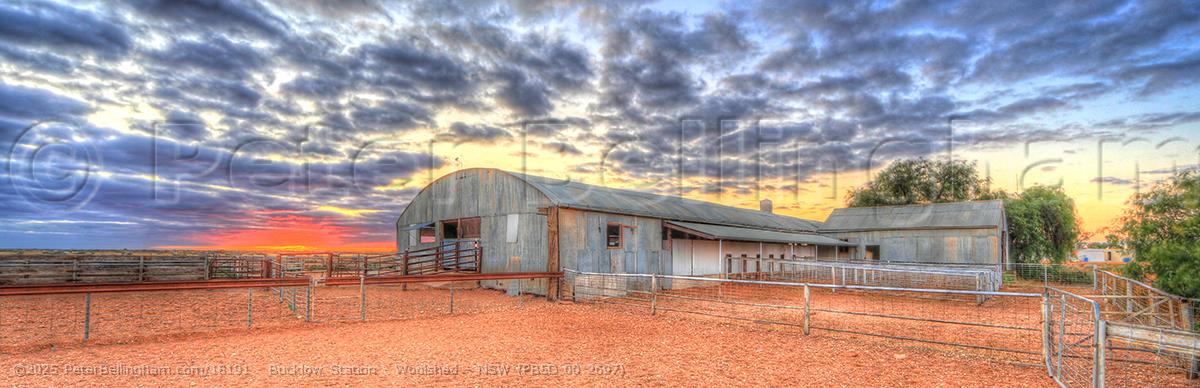 Peter Bellingham Photography Bucklow Station - Woolshed - NSW (PB5D 00 2697)